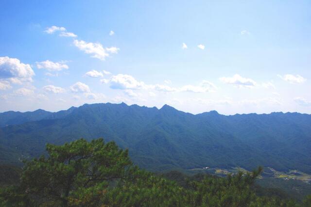 ▲ 백악산 고스락 도착 직전의 조망 점에서 바라본 속리산 능선.ⓒ진경수 山 애호가