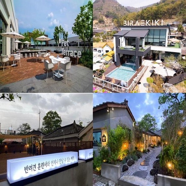 ▲ 대전 관광공사가 ‘대전 반려동물 친화인증제도’를 도입, 13개 업체를 선정했다.ⓒ대전관광공사