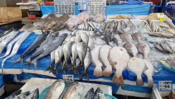 ▲ 대전시가 오는 12월 5일까지 일본산 수입수산물 취급 업체 625곳에 대한 원산지표시 특별점검을 진행한다.ⓒ대전시