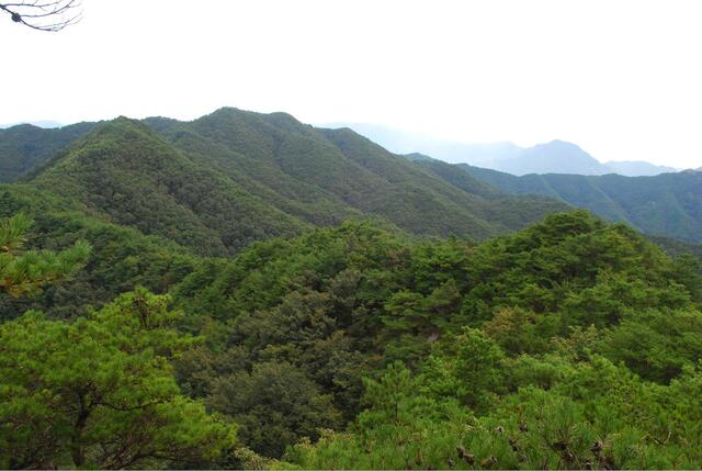 ▲ 성봉에서 신동봉으로 이어지는 능선.ⓒ진경수 山 애호가