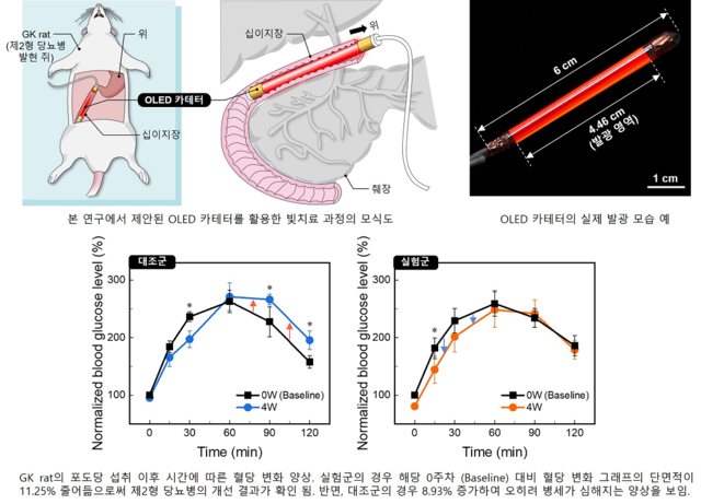 ▲ OLED 카테터를 활용한 빛 치료 과정의 모식도와 디바이스 사진.ⓒKAIST