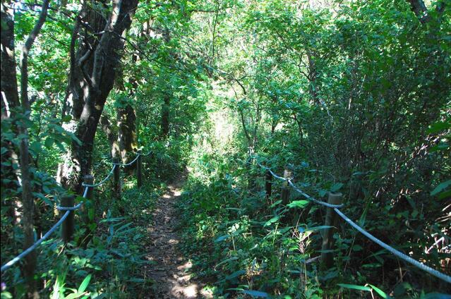 ▲ 내리막 숲길에 설치된 안전 밧줄.ⓒ진경수 山 애호가