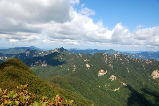 ▲ 조항산 고스락 길목에서 대야산까지 이어진 산등성.ⓒ진경수 山 애호가