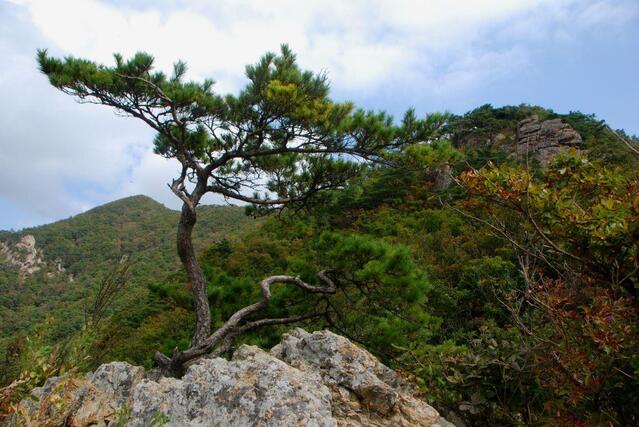 ▲ 제3조망점에서 바라본 넘어야 할 봉우리와 청화산.ⓒ진경수 山 애호가