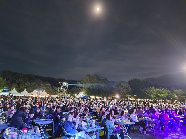 ▲ 대구재즈축제는 지난 16년 동안 대한민국을 대표하는 뮤지션들과 세계 각국에서 초청된 최고의 뮤지션들을 소개하고 대구가 문화공연 중심도시임을 알리는 계기를 만들었다.ⓒ대구국제재즈축제조직위