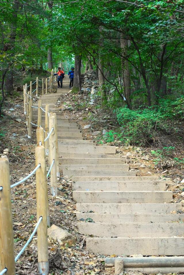 ▲ 등산로 초입부터 끊임없이 이어지는 계단.ⓒ진경수 山 애호가