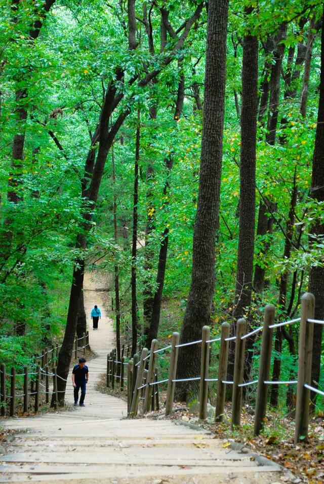 ▲ 삼일공원으로 하행하는 계단길.ⓒ진경수 山 애호가
