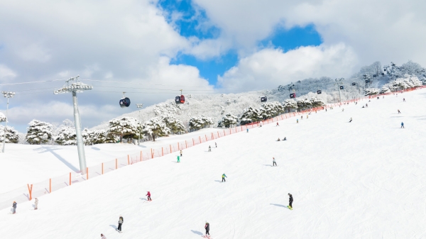 ▲ 비발디파크는 동계시즌을 앞두고 다양한 혜택이 포함된 스키 시즌패스권을 판매한다.ⓒ소노인터내셔널