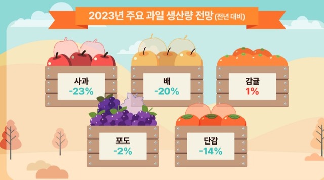 ▲ 2023년 주요 과일 생산량 전망(전년 대비)ⓒ한국농촌경제연구원