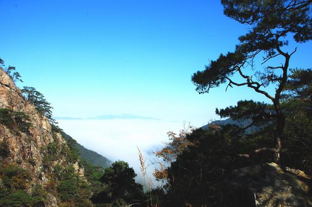 ▲ 군자산을 오르면서 바라본 소금강의 하단부.ⓒ진경수 山 애호가