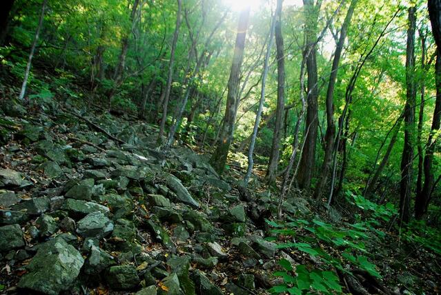 ▲ 도마골로 하행 도중에 만나는 너덜지대.ⓒ진경수 山 애호가