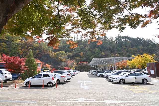 ▲ 청송군(군수 윤경희)은 가을 단풍철 주왕산을 찾는 관광객이 많을 것으로 예상됨에 따라, 안전사고를 예방하고 원활한 교통상황을 제공하기 위해 10월 14부터 11월 12일까지 5주간 주왕산 특별 교통대책을 실시한다.ⓒ청송군