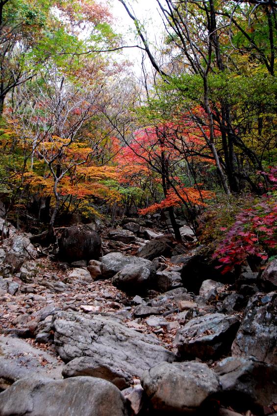 ▲ 단풍이 물들기 시작한 계곡.ⓒ진경수 山 애호가