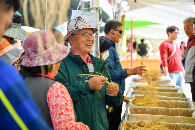 ▲ 축제장 방문객이 뛰어난 품질의 풍기인삼을 보고 감탄하고 있다.ⓒ영주시