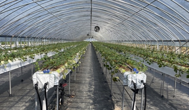 ▲ 맞춤형 스마트팜 관련 사진.ⓒ공주시