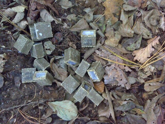 ▲ 산에 살포된 광견병 미끼 예방약. ⓒ서울시