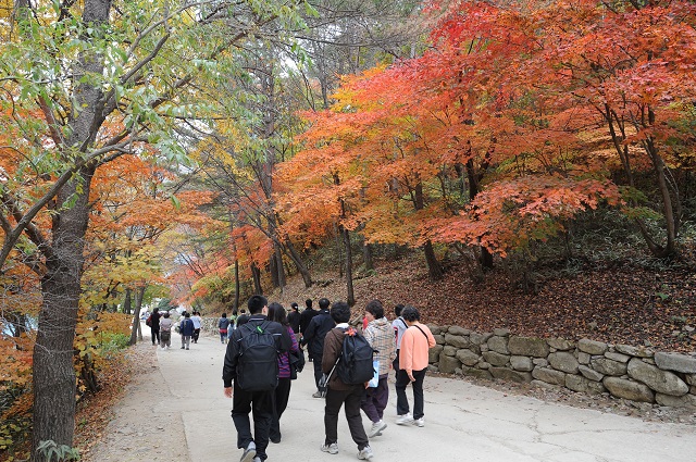 ▲ 백천계곡 단풍길 전경.ⓒ봉화군