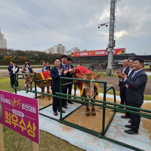 ▲ 청도군(군수 김하수) 금천면 박천석 농가가 19일 상주시 북천시민공원에서 열린 ‘2023년 경북한우경진대회’에서 미경산우 부문 최우수상을 수상했다.ⓒ청도군