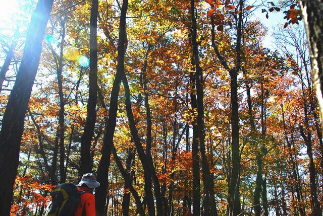 ▲ 710봉의 아름다운 단풍.ⓒ진경수 山 애호가