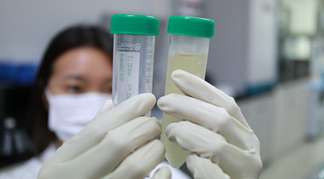 ▲ ⓒ박셀바이오