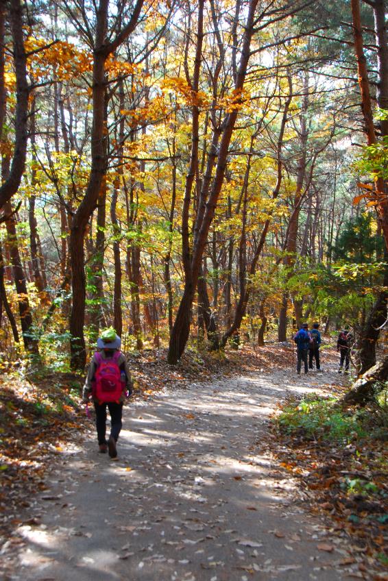 ▲ 옥순봉공원지킴터로 돌아가는 포장길.ⓒ진경수 山 애호가