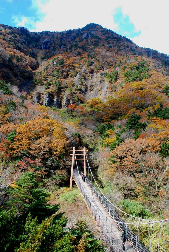 ▲ 용진각계곡 현수교의 단풍.ⓒ진경수 山 애호가