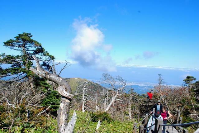 ▲ 해발 1700m지점에서 바라본 한라산의 수려한 경관 .ⓒ진경수 山 애호가