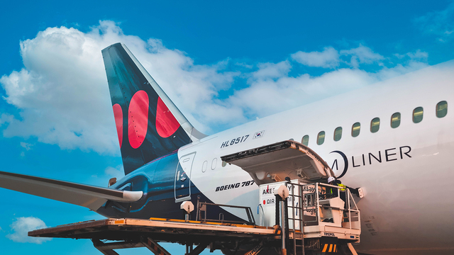 ▲ ⓒ에어프레미아