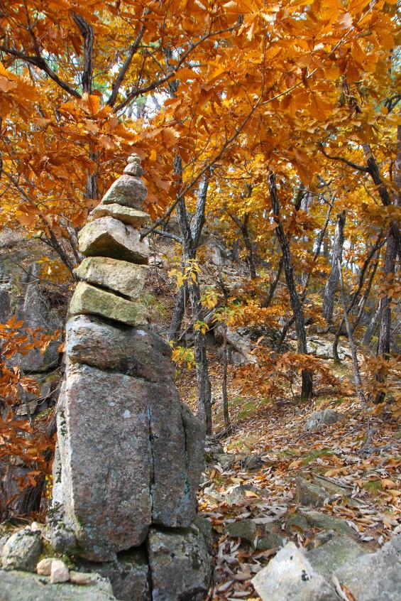 ▲ 사랑산 고스락 도착 직전의 돌탑과 황금 단풍.ⓒ진경수 山 애호가