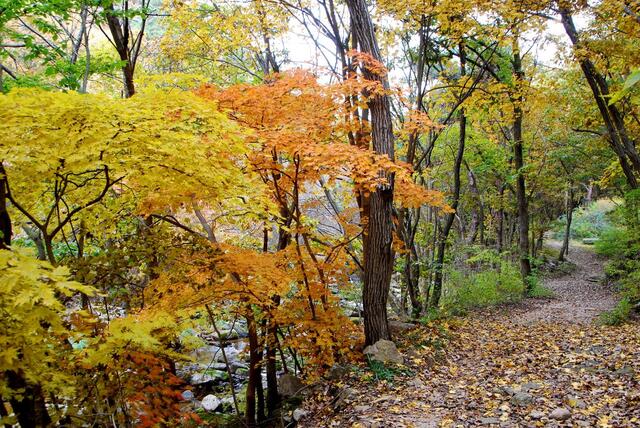 ▲ 용세골을 따라 형성된 속리산둘레길.ⓒ진경수 山 애호가