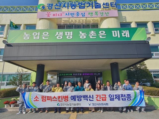 ▲ 경산시(시장 조현일)는 전국적으로 럼피스킨병 확산이 심각하게 우려되는 상황이 발생함에 따라 오는 10일까지 경산지역 소 대상 긴급 백신접종을 실시한다고 2일 밝혔다.ⓒ경산시