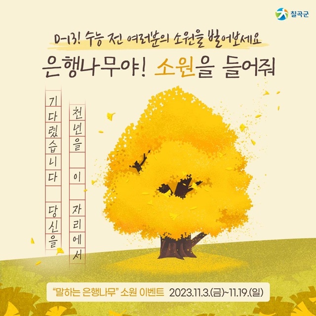 ▲ 칠곡군은 수령이 1000년이 된 늦게 단풍이 드는 ‘말하는 은행나무’ 방문 인증 SNS 이벤트를 지난 3일부터 19일까지 진행한다.ⓒ칠곡군