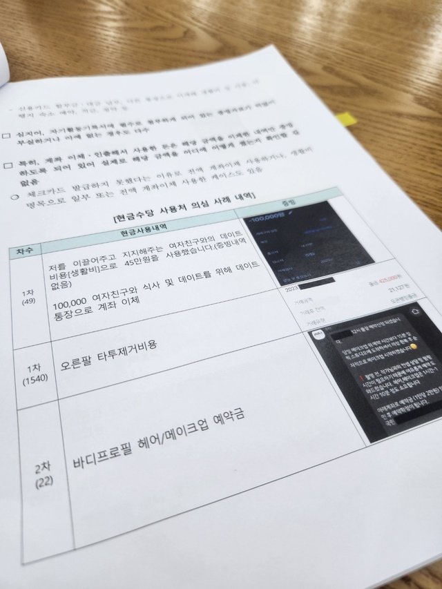 ▲ 서울청년수당 관련 '현금수당 사용처 의심 사례' 내역. ⓒ진선우 기자