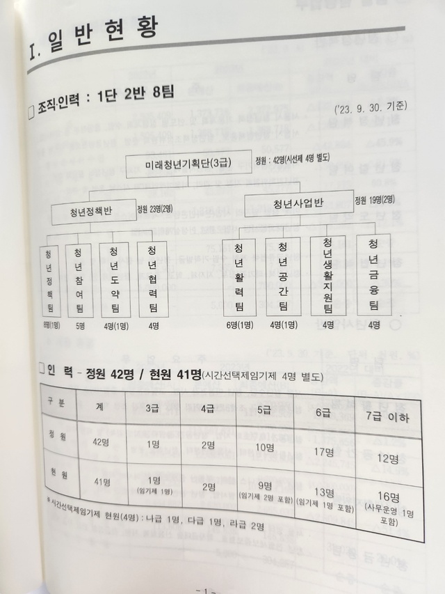 ▲ 미래청년기획단 조직도. ⓒ진선우 기자