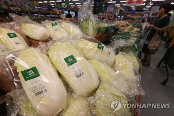 ▲ 올해 이상기후로 배추 등 김장재료 가격이 상승하며 김장을 포기하는 사람들이 늘고 있는 것으로 집계됐다. ⓒ연합뉴스