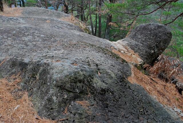 ▲ 수정봉의 거북바위.ⓒ진경수 山 애호가