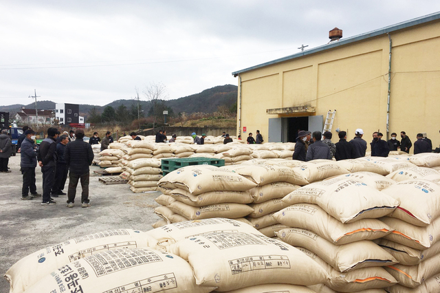 ▲ 청송군(군수 윤경희)은 11월 13일 청송읍 청운농창을 시작으로 11월 28일까지 총 36개소에서 2023년산 공공비축미곡 매입을 실시한다.ⓒ청송군