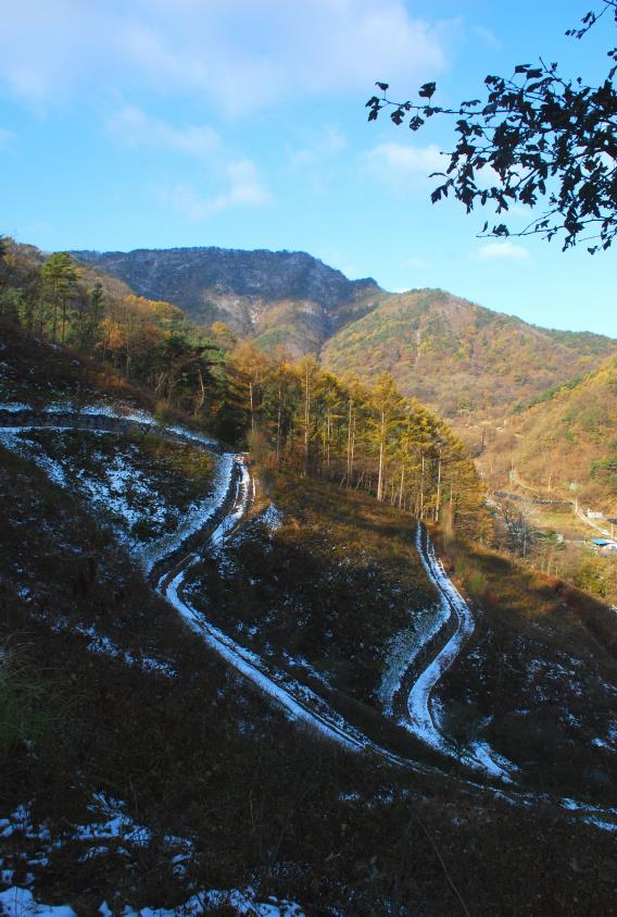 ▲ ‘갈 지(之)’자 비탈길 너머로 얼굴을 내민 진악산 고스락.ⓒ진경수 山 애호가