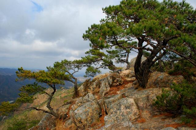 ▲ 진악산 고스락으로 가는 도중에 만난 암릉 구간.ⓒ진경수 山 애호가