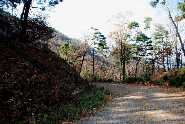 ▲ 임도에서 주능선으로 오른 곳.ⓒ진경수 山 애호가