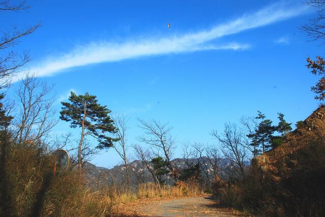 ▲ 하산 중에 만나는 임도.ⓒ진경수 山 애호가