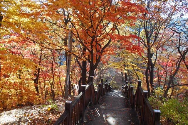 ▲ 보은대의 단풍길.ⓒ진경수 山 애호가