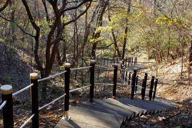 ▲ 황톳길 임도삼거리에서 법동소류지로 하산하는 길.ⓒ진경수 山 애호가