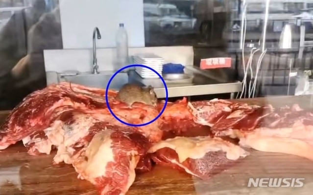 ▲ 중국의 식품 위생 논란이 끊이지 않고 있다. 이번엔 한 훠궈식당의 작업대에 쥐가 돌아다니며 소고기를 뜯어먹는 영상이 소셜미디어(SNS)에 확산됐다. 출처 : @star星视 ⓒ뉴시스