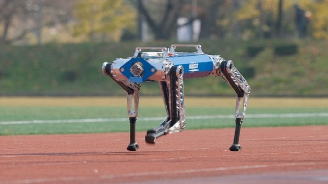 ▲ KAIST 연구진이 제작한 사족 로봇 하운드의 100m 달리기 기록이 기네스에 실렸다. KAIST는 기계공학과 박해원 교수 연구팀이 제작한 하운드 로봇이 지난 10월 26일 KAIST 대운동장 실외 육상 트랙에서 100m를 19.87초 만에 통과했다고 밝혔다. 사진은 하운드가 육상 트랙을 달리고 있는 모습.ⓒKAIST