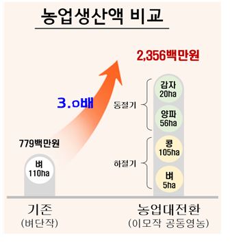 ▲ 총 110ha의 영순들녘은 기존 벼단작시 단지 내 농업생산액은 7억8천만원에 머물렀으나, 올해 콩 농사를 시작으로 내년 6월까지 봄감자, 양파가 수확되면 기존에 비해 3배 늘어난 24억원까지 농업생산액이 증대될 것으로 전망된다.ⓒ경북도