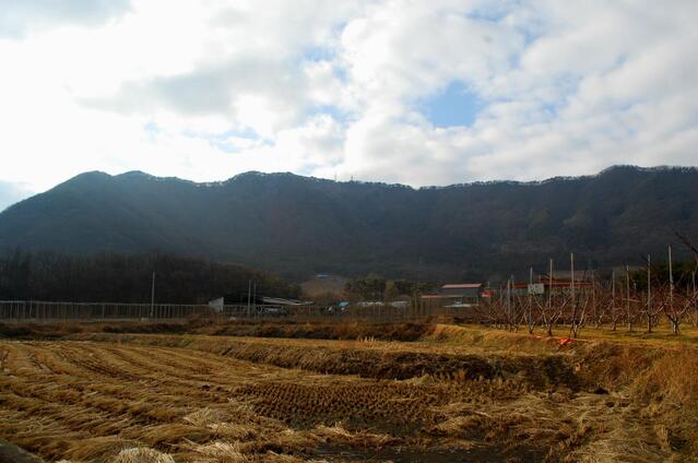 ▲ 겨울 들판에서 바라본 금적산 능선.ⓒ진경수 山 애호가