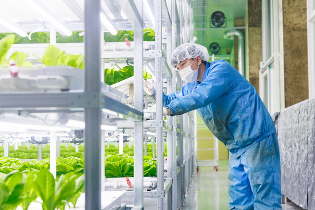 ▲ 예천군 농업기술센터(센터장 정정호)는 올해 60개 사업에 102억여 원을 투입해 더 다양한 교육과 사업으로 지역 농업 발전과 미래농업을 선도한다.ⓒ예천군