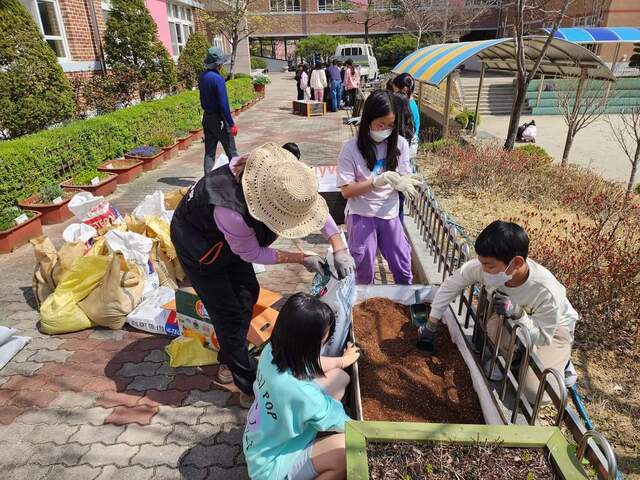 ▲ 달성군(군수 최재훈)이 추진한 학교텃밭 사업에서 대구화동초(달성군 화원읍 소재)가 지난 연말 대구광역시 우수학교로 지정되어 ‘학교텃밭 조성·활성화 유공’ 대구광역시교육감 표창을 받았다.ⓒ달성군