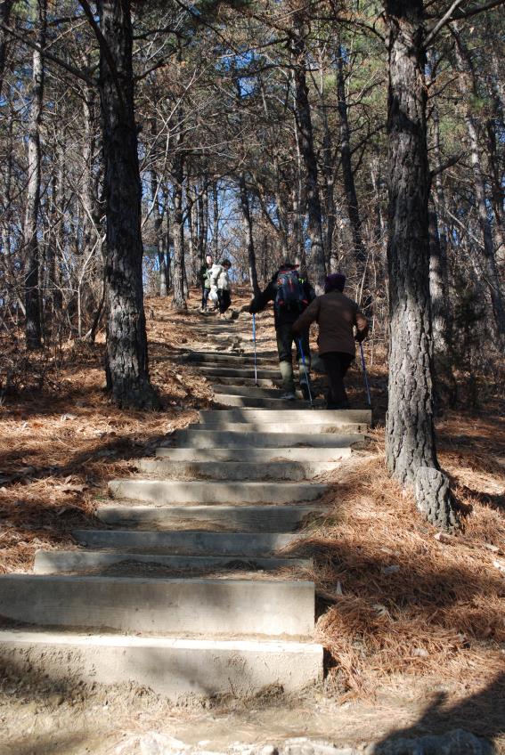 ▲ 함박산 정상으로 이어지는 계단 구간.ⓒ진경수 山 애호가